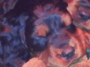 snuggled up