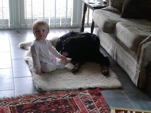 Raven with my Grandchild Tayla