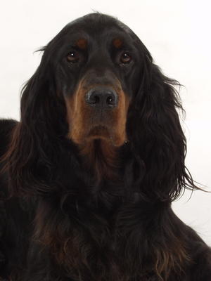 hazel looking pretty