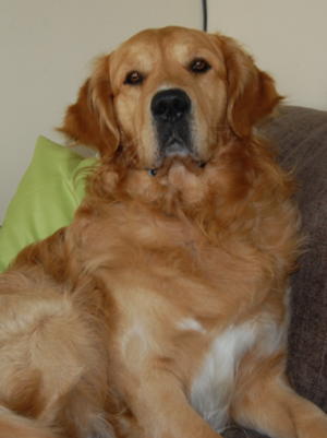 Rufus - April 2014