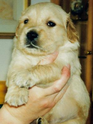 Tizzy aged 4 weeks - 8 August 2000