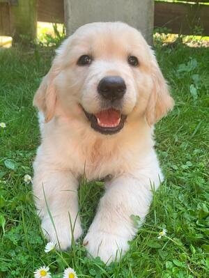 Margot aged 8 weeks