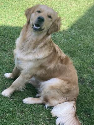 Bonnie - May 2023