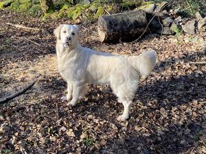 Mum 'Nilla'