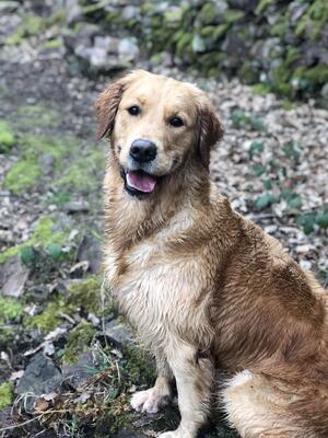 Mummy 'Cassie'