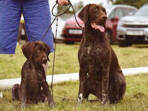 Daisy with her little sister