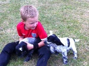 Puppy Playtime