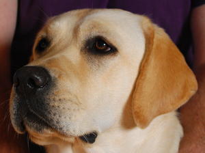 Wilma