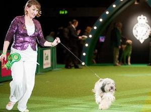 Mei d'espinvesa at Sterwell