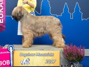 int nl ir Ch you bring me joy moravia Campanella a