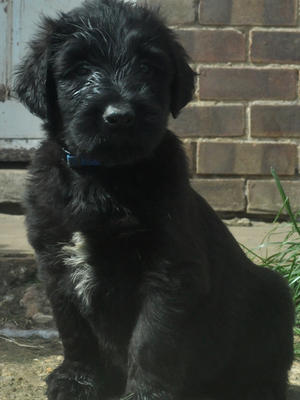 cruz as a baby