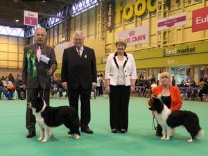 Tilly BPIB Crufts 2013