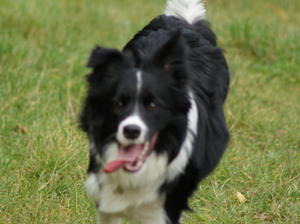 Caoimhe at 14 months
