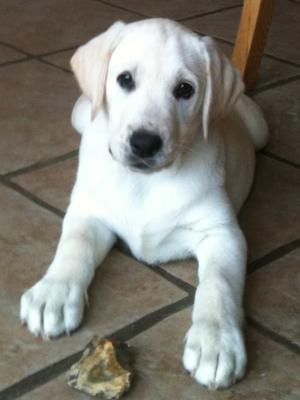 Freddie Playing