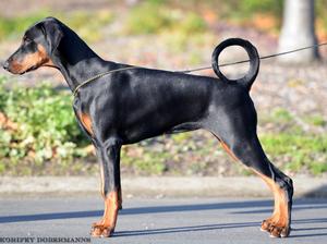 Aged 5 months
