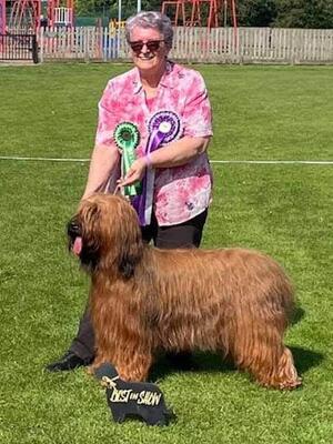 Fergie 2nd CC & Best in Show