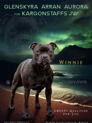 Winnie SBT 2024 Annual Advert