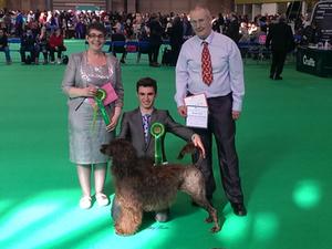 Coco BOB at Crufts 2015
