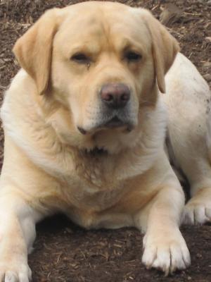 Proud father ' ERNIE ' .