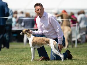 Three Counties Champ Show 2023