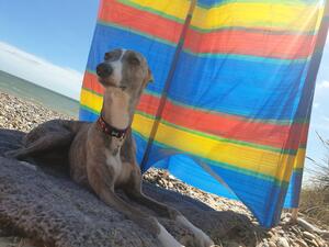 Ida on her holidays