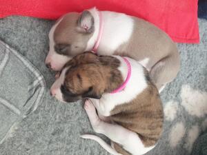 With litter sister, October 2022