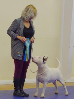 Elvis Best Puppy in match