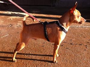 Fynn Feb 2012