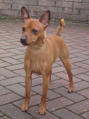 Fynn March 2012