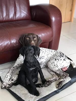 baby Ella with Hunter