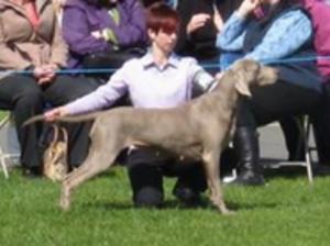 Aya at a champ show