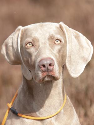 Winni head shot
