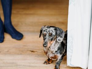 Guest of honour at our wedding