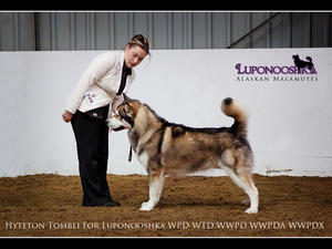 Reserve Best Of Breed