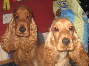 MUM LIBBY AND GRANDAD SID