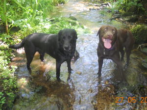 Snuggles with daughter Coco