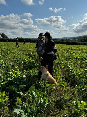 Novice Field Trial