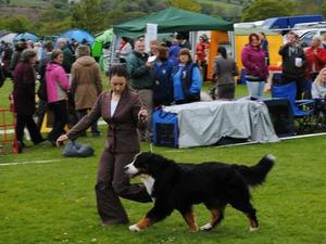 Giovanni with his handler Miss Kelly Lawless