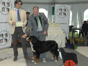 KINELARTY AMO TIZIANA JUN.CH