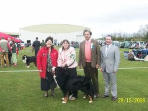 Picture of Giovanni after getting CAC, BOB, CACIB