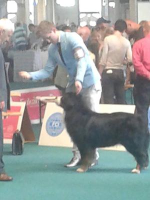 Giovanni with Handler Adam Burnside