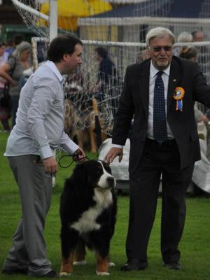 Giovanni at the Clonmel Show 2012