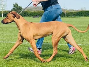 Lildred on the move at 7.5 months