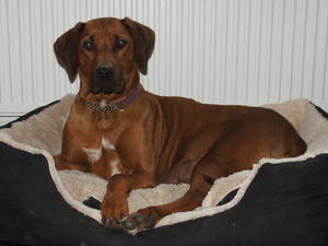 Aida relaxing