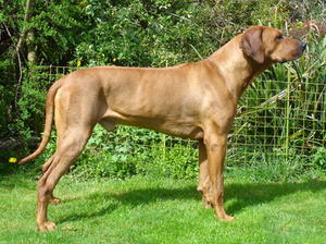 Dave standing