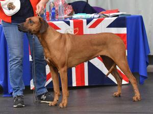 Queenie at another show that month
