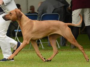 Maud on the move at 2 years