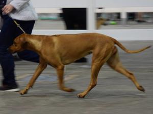 Katie on the move