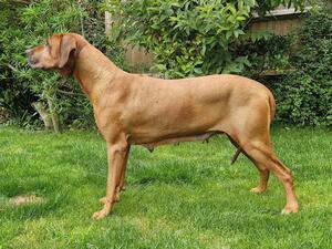 Aida at 9.25 years