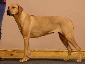 Martini at 5 years